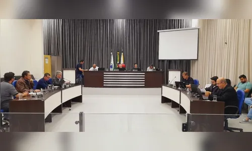 Vereadores estão preocupados com furtos e assaltos em Apucarana