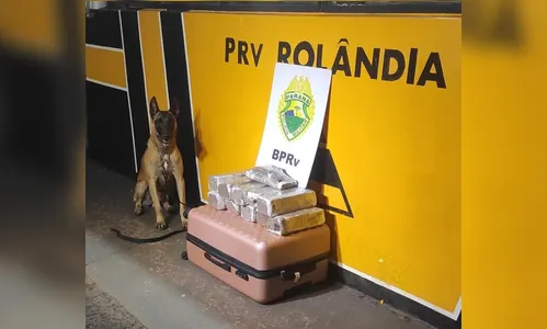 Adolescente transportava 21 quilos de maconha em ônibus de linha