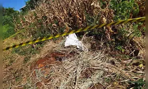 Ré acusada de matar companheira em J. Alegre é condenada a 15 anos