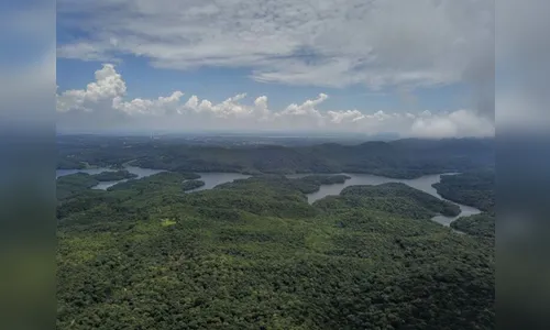 Paraná é líder nacional em sustentabilidade ambiental; confira