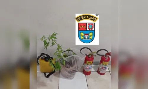 Homem furta vizinha e acaba preso por tráfico de drogas em Apucarana