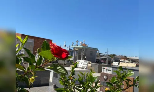 Veja a lista de sepultamentos desta quinta-feira de Apucarana e região