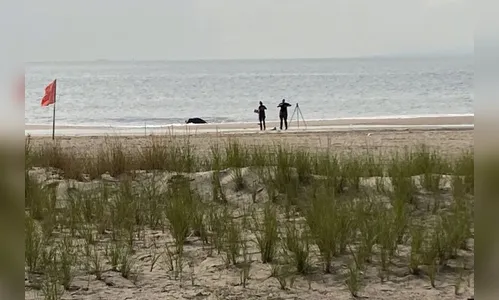 Mãe é suspeita de afogar os três filhos nos Estados Unidos; confira