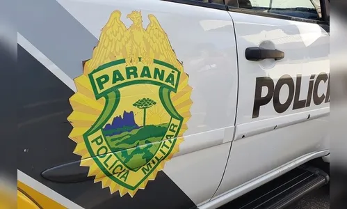 Homem tenta furtar borracharia, se joga contra carros e mata cachorro