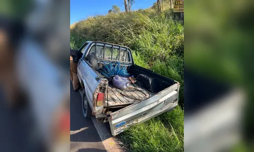 Veículo usado para arrombar depósito é localizado na BR-376