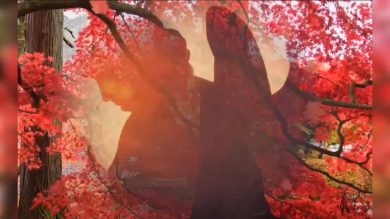 Imagem ilustrativa da notícia Você sabe a força do seu anjo da guarda?