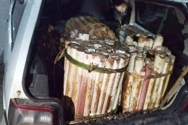 Denúncia via 181 prende suspeito de transporte de palmito ilegal no Litoral do Estado -