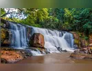 Faxinal é referência na agricultura e no turismo de aventuras