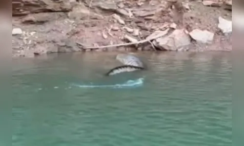 Vídeo: pescadores se deparam com sucuri em Lago Corumbá