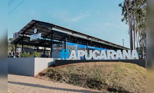 Apucarana realiza Feira de Saúde da Mulher neste sábado; assista