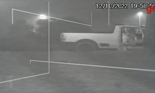 Policial ambiental é suspeita de abandonar cachorro no Paraná