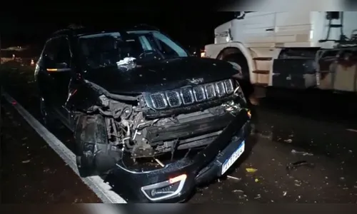 Motorista morre atropelado após colidir em árvore que caiu na PR-445
