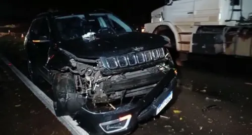 Carro bateu contra árvore que caiu após forte chuva