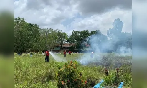 Em enterro, família solta fogos de artifício e provoca incêndio