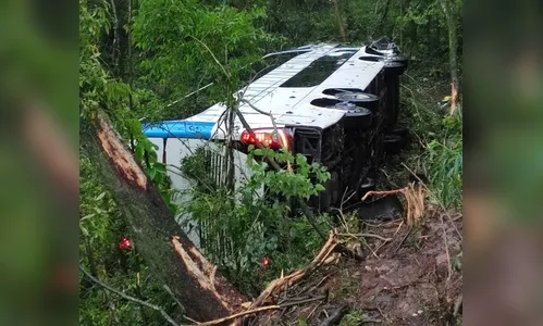 Acidente grave envolvendo ônibus e caminhão é registrado na BR-277