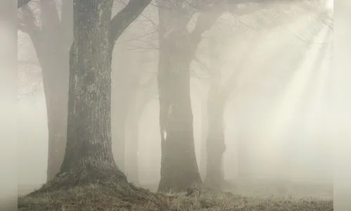 Temperatura muda a partir de segunda-feira (31) no Paraná