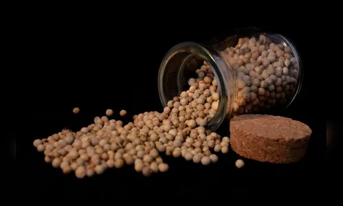 Estudo diz que potes de temperos têm mais bactérias que latas de lixo