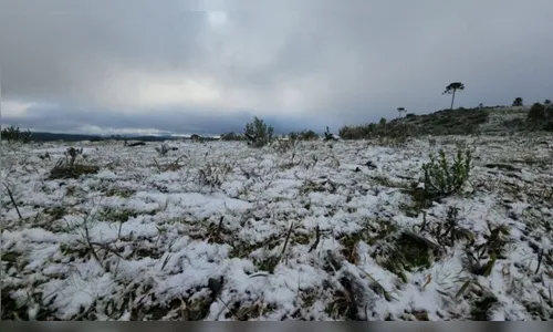 Santa Catarina deve ter frio histórico e até neve em novembro
