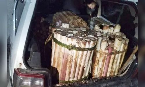 Suspeito de transporte de palmito ilegal é preso no Litoral do PR