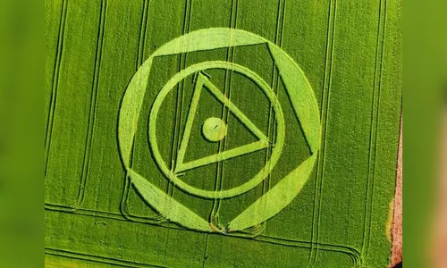 Entenda os desenhos 'misteriosos' que aparecem em plantação em SC