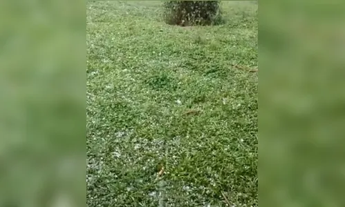 Moradores de Apucarana registram chuva de granizo; veja