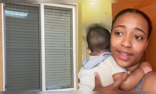 Mulher nota moscas em janela de vizinho e choca a web