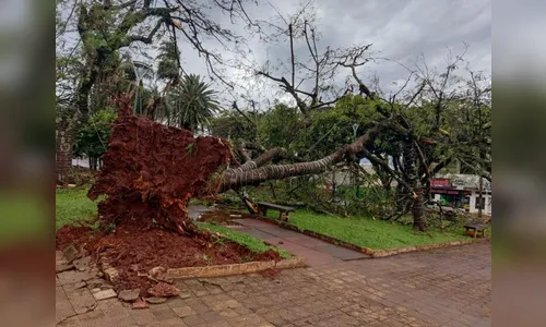 Temporal deixa mais de 100 mil domicílios sem energia no PR