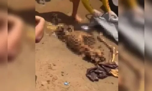 Banhistas encontram esqueleto humano enquanto nadavam; vídeo