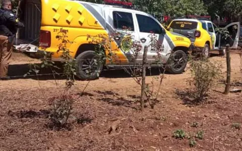 O acusado acabou preso  na área rural de Salto do Lontra