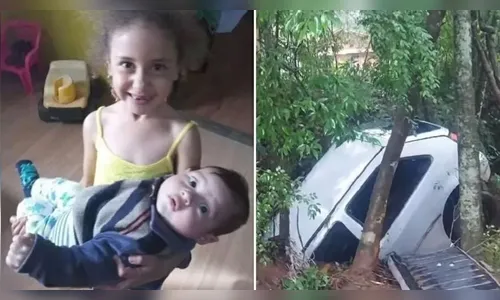 Cães farejadores ajudarão nas buscas por bebê desaparecido no Paraná