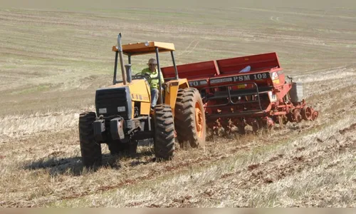 Chuva atrasa plantio de milho e soja nos municípios da região