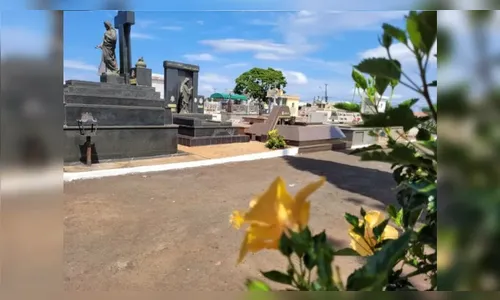 Veja os sepultamentos deste domingo em Apucarana e região