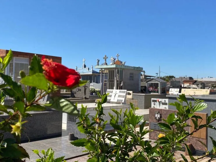 As informações sobre os velórios e sepultamentos são divulgados pela Autarquia de Serviços Funerários de Apucarana (Aserfa)