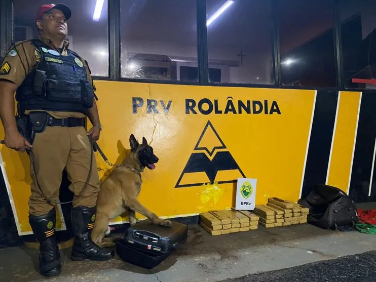 O cão Arius fez a indicação das malas onde foram encontrados quase 25 quilos de maconha