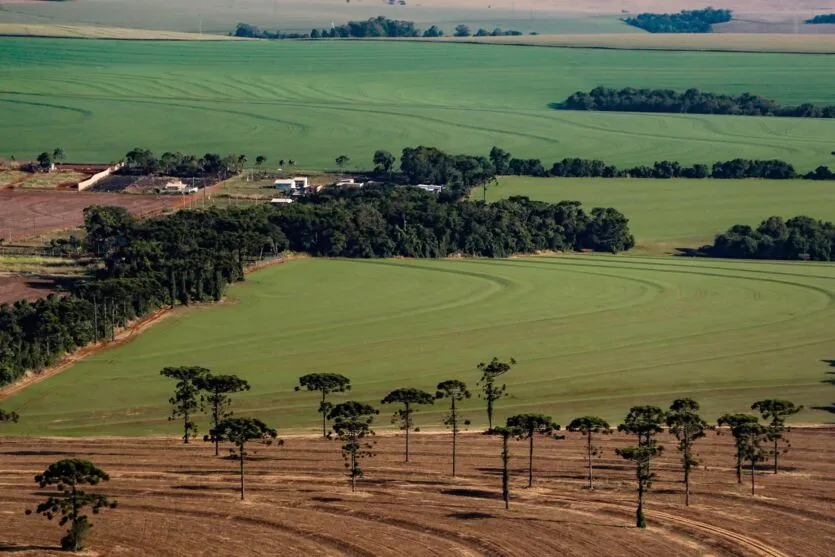 O valor das terras no estado tem condicionantes em análise no Caderno Regional Agropecuário