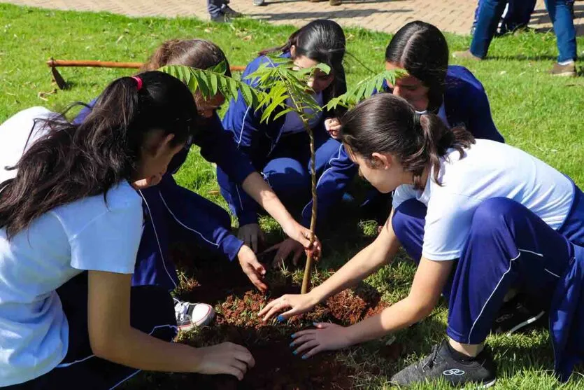 A ação foi promovida pelos escritórios regionais do Instituto Água e Terra (IAT) em diversas cidades