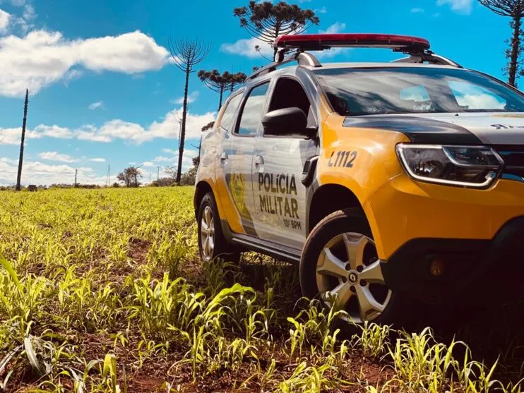 A ação foi registrada pela Polícia Militar (PM), na Estrada Nova Ucrânia