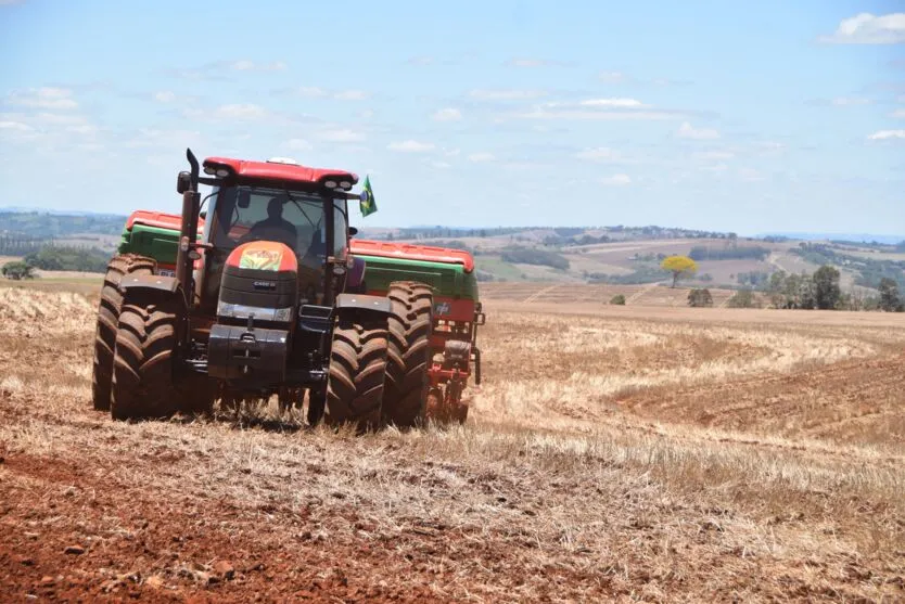 Estimativa do Deral é de plantio de 306 mil hectares do grão