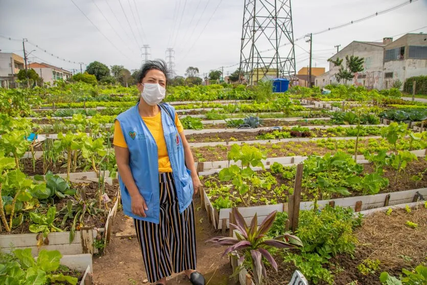 Hortas urbanas sob linhas de energia produzem toneladas de alimentos orgânicos no PR