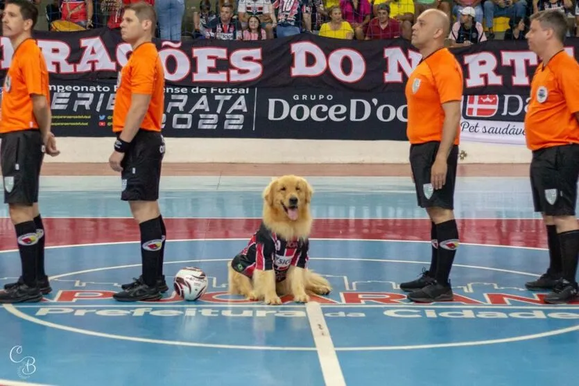 Luck Campana é mascote oficial do Apucarana Futsal