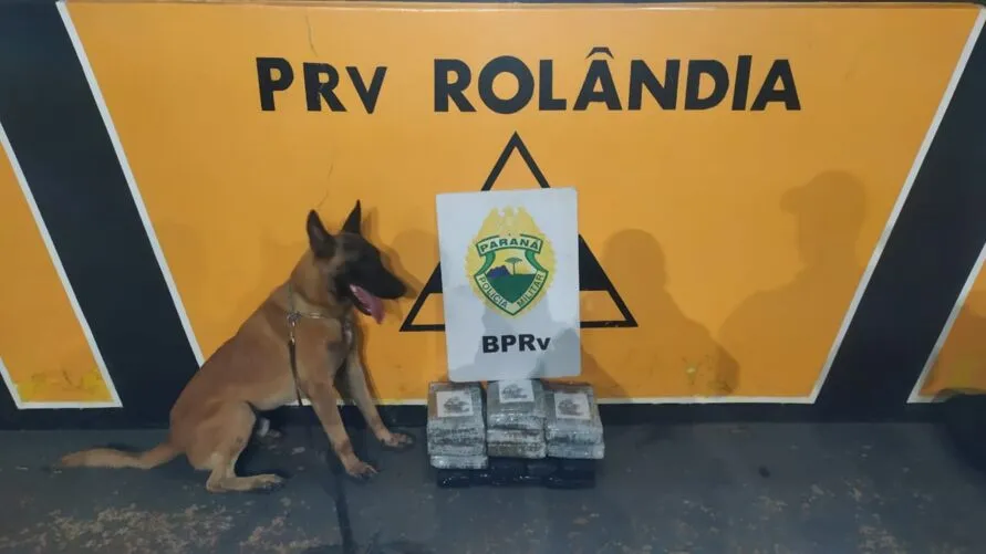 O cão de faro Árius auxiliou as equipes e encontrou a mala com as drogas no bagageiro.