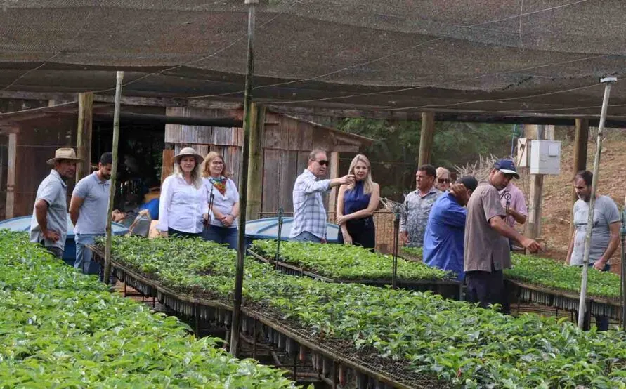 Os dados foram divulgados pelo Departamento de Economia Rural (Deral) da Secretaria de Estado da Agricultura e Abastecimento