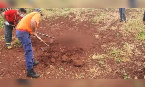 Corpo enterrado é encontrado por agricultor em fazenda no PR