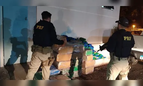PRF apreende quase uma tonelada de maconha em Maringá
