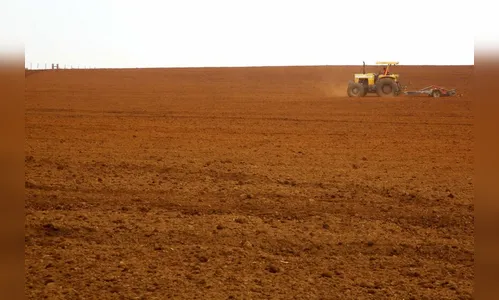 Paraná tem a melhor potencialidade agrícola do Brasil, diz IBGE
