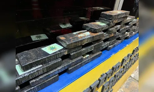 Jovem é detida levando 20 kg de maconha dentro de ônibus no Paraná