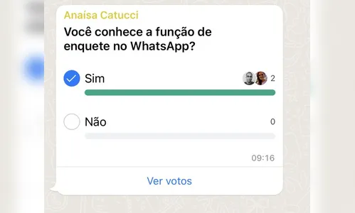 Usuários podem fazer enquetes no WhatsApp; saiba como usar
