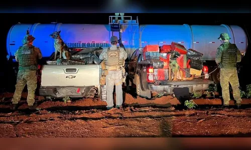 PM e PF apreendem mais de 2,5 toneladas de maconha no Paraná