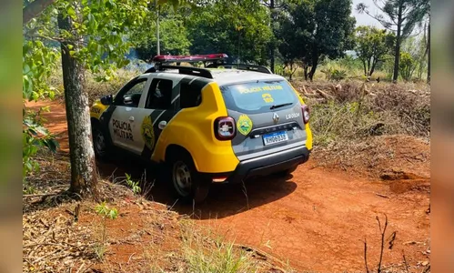 Quadrilha invade sítio de Apucarana, rende moradores e mata animais