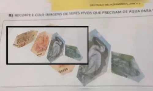 Mãe fica desesperada ao ver que filho recortou notas de R$ 100 e R$ 50